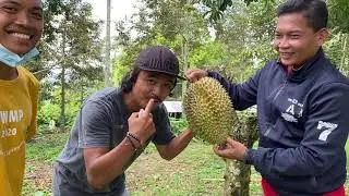 BALI LOKAL FARMER ( DURIAN KANE )