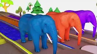 Kids Video With Colour Games #cartoon #forkids 