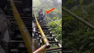 Monk Falling Down The Stairs