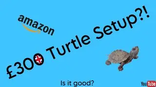 &pound;300 Amazon Turtle Setup - Is it good?