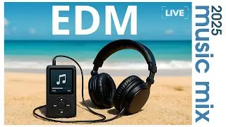 ☀️ 1 HOUR SOFT EDM MIX 2025 | Serene High-Energy Summer Vibes 🌊