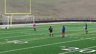 Erin field kick