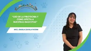 Meditips - MVZ. Angela Zavala &ldquo;Uso de la pirotecnia y como afecta a nuestras mascotas&rdquo; 🐾🎆