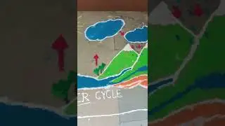 Water cycle 💦Rangoli & Project😊