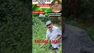 Miraculous Benefits of Bhumi Amla | Boost Your Health Naturally