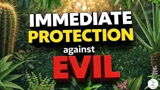 🌿 13 Protective Plants That Shield Your Home from Dark Energies