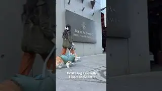 Best Dog Friendly 5 Star Hotel, Seattle