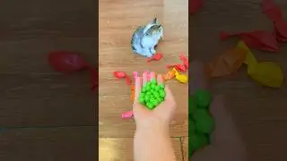 Cat Vasj📿🐱BeadsReverse Video #MarbleRunandMore #satisfyingvideo #reversevideo #asmr #reverse