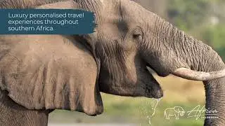 Luxury Travel Experiences across Africa