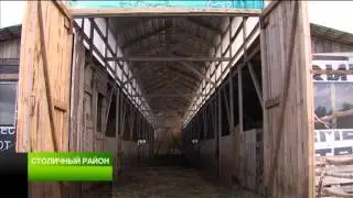 9 07 15 столичный район