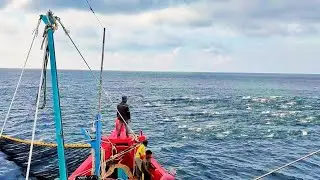 Pukat cincin, Nelayan indonesia dapat banyak ikan, hasilnya mengejutkan