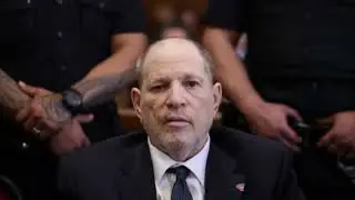 Harvey Weinstein Accuser Miriam Haley Tells Jury of 2006 Assault  &lsquo;I Just Decided to Check Out and E