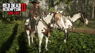 COMPRANDO um CAVALO CRIOULO - Red Dead ONLINE