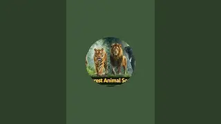 விடு கதைகள் Jennifer is live