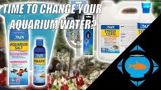 How to do a Water change and clean your aquarium gravel