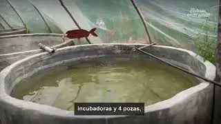 2024 03 05 - Radio Nacional - FONCODES financia el laboratorio 