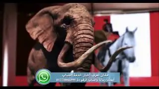 الفقرة الثانية من كرنفال3 بريك 20 - 10 - 2017