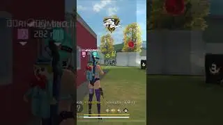 #gameplay