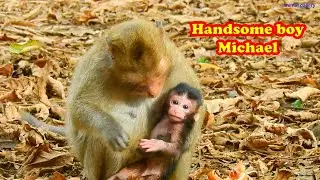 Baby monkey Michael and mom Millie Updated | Micheal is kinda Handsome boy