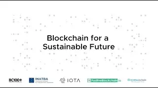 A Collaborative Effort for Blockchain for a Sustainable Future