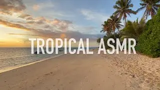 🇫🇯 Quiet Tropical Beach at Sunsrise in Fiji | Just Sand, Waves and Palm Trees