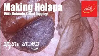 Making Sri Lankan Delicacy Helapa with Finger Millet Flour and Kithul Jaggery