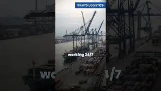Inside Singapore&rsquo;s AI Port: The World&rsquo;s Most Advanced Logistics Hub #singapore #port #ai #viralshort