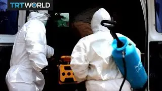 Insight: Ebola vaccine