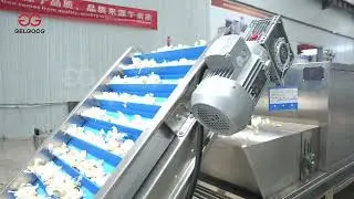 Garlic Peeling and Cleaning Line, Garlic Processing Plant - GELGOOG