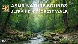 POV Walking ASMR 4K | Creek Exploration | Nature Sounds No Talking