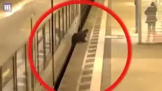 Man is spun around as he gets stuck between train and platform