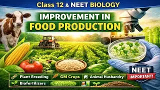 Improvement in Food Production Part 4 | Class 12 NEET Biology
