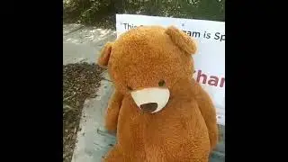 chester stone missed the bus