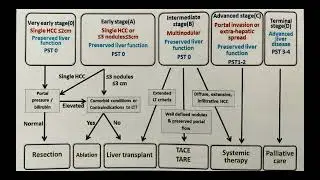 Primary liver malignancies (Hepatocellular carcinoma and Intrahepatic cholangiocarcinoma)