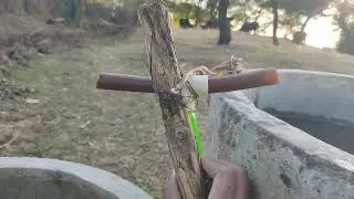 Cow  Water Feeding System at Farmhouse