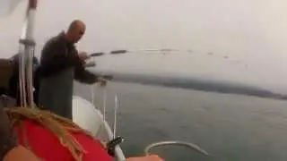 Nor Cal Bay & Delta Lingcod Fishing