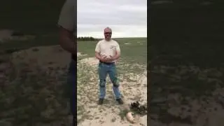 David's Happy Dance