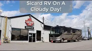 We've got sunshine on a cloudy day!