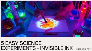 5 Fun Science Experiments for Kids & Adults - DIY Invisible Ink