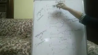 Class-12, Topic- Transcription , Date- 22.7.2020