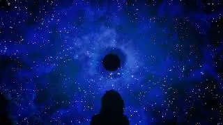 Monkey Dola - Night