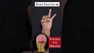 Brain exercise