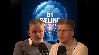 #491 &THORN;orsteinn V&iacute;glundsson - R&iacute;kisafskipti &aacute; h&uacute;sn&aelig;&eth;ismarka&eth;i eru of mikil