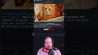 Hidden File in Image CTF