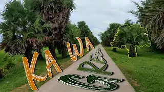 Cycling Around Yangon (Kawa) က၀မြို့