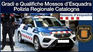 Gradi e Qualifiche Polizia Regionale Catalogna - Mossos d'Esquadra
