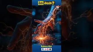 Miku Telusa | How Fast Does the Human Body React? | Brain Signal Speed Facts | Vayu News #shorts