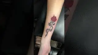 Snake and Rose tattoo