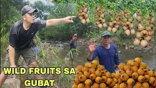 Wild fruits sumalubong sa amin sa malinis na ilog Bunga ng uway or ratan 