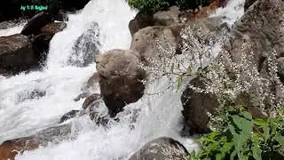 Bhaderwah - Nature's Precious asset - Perennial Nallah